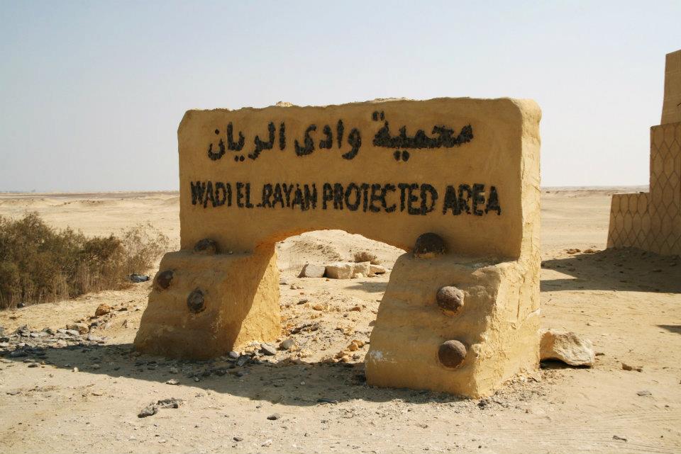 Wadi El Rayan Fayoum 