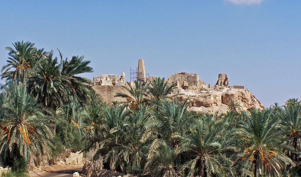 The temple of oracle siwa