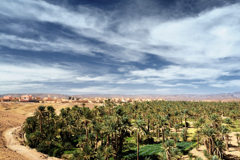 Safari Siwa Oasis