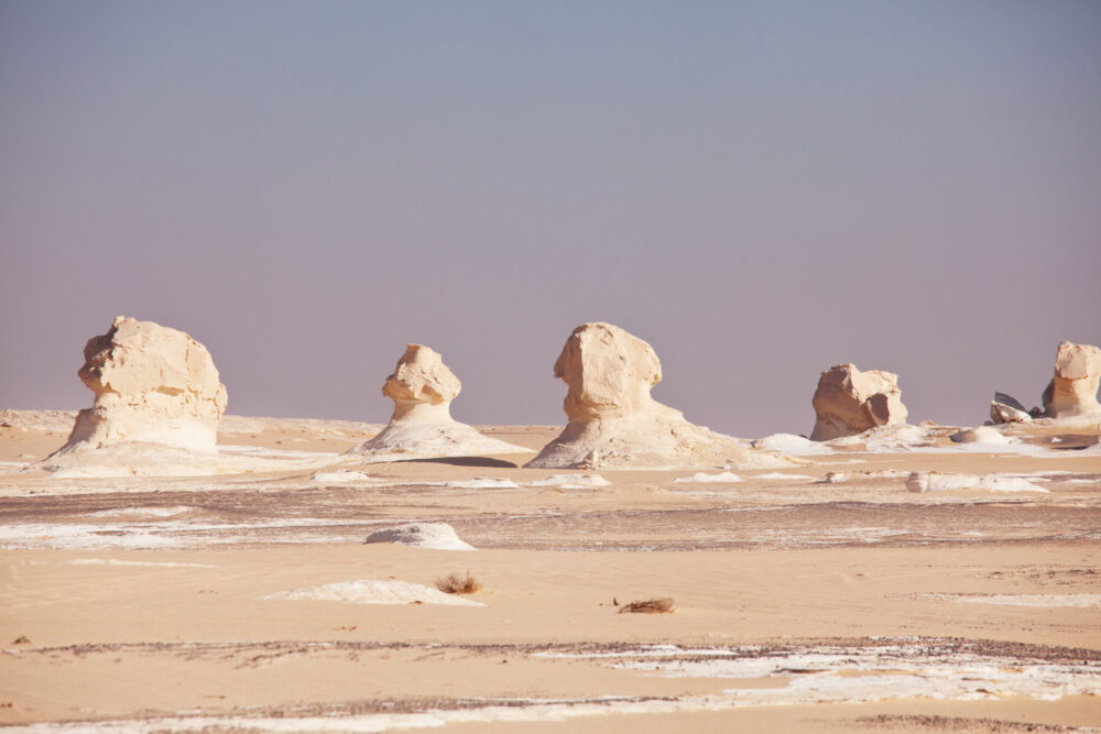 White Desert safari in Egypt