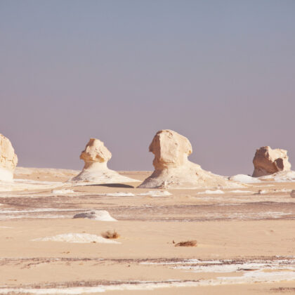 White Desert Safari Tour Package by Holiday Tours