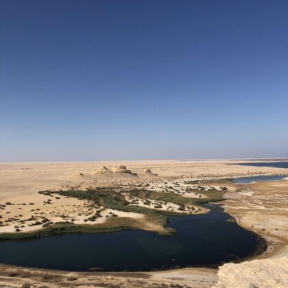 Fayoum lake : Egypt, Wadi El Rayan