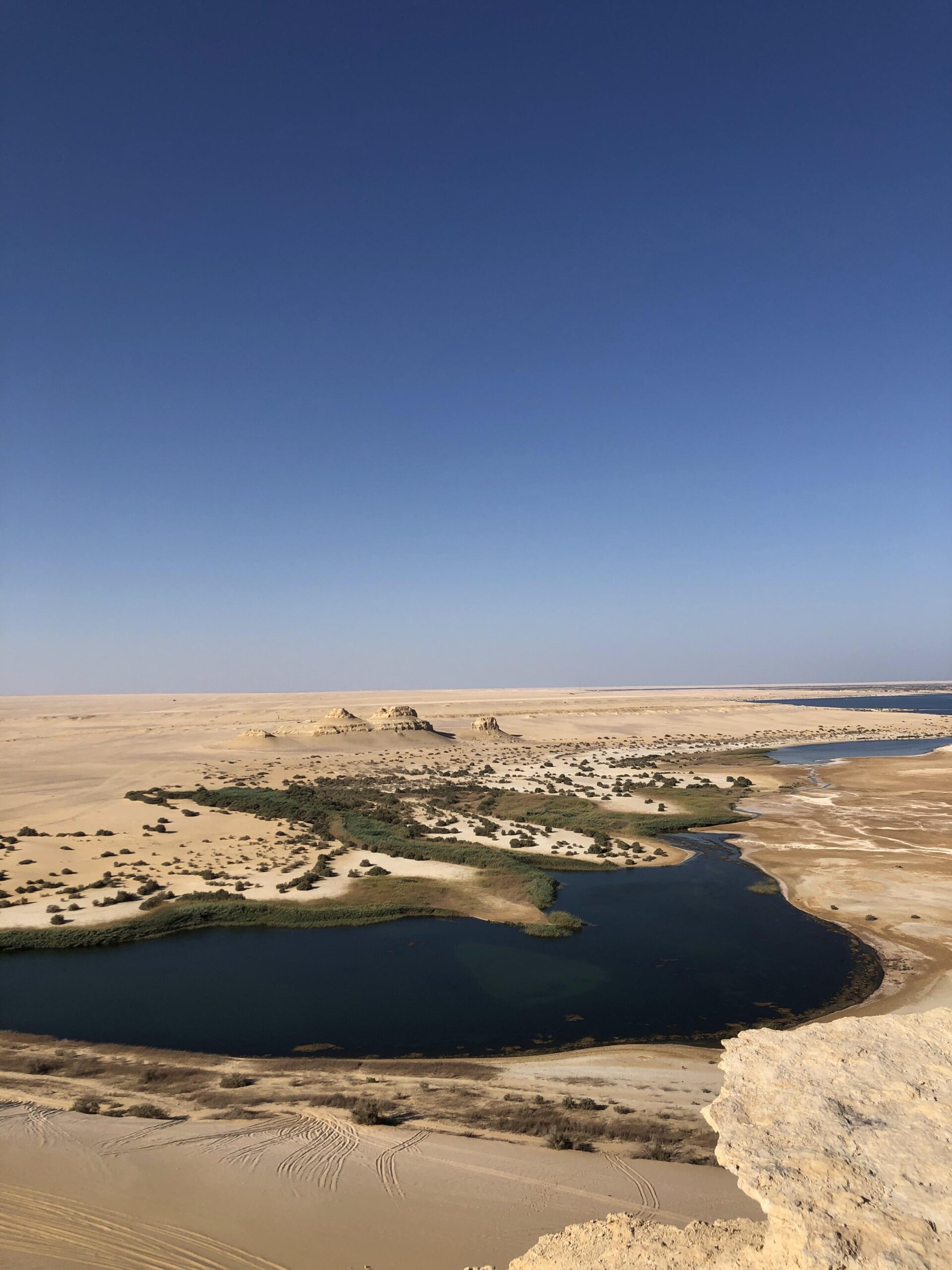 Fayoum lake : Egypt, Wadi El Rayan